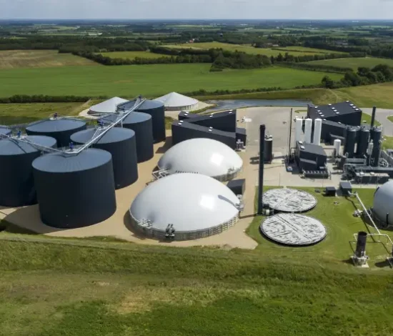 Biogas Industry