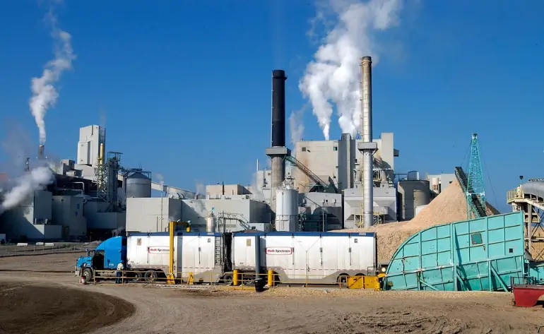 Paper & Pulp 2