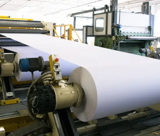 Paper & Pulp