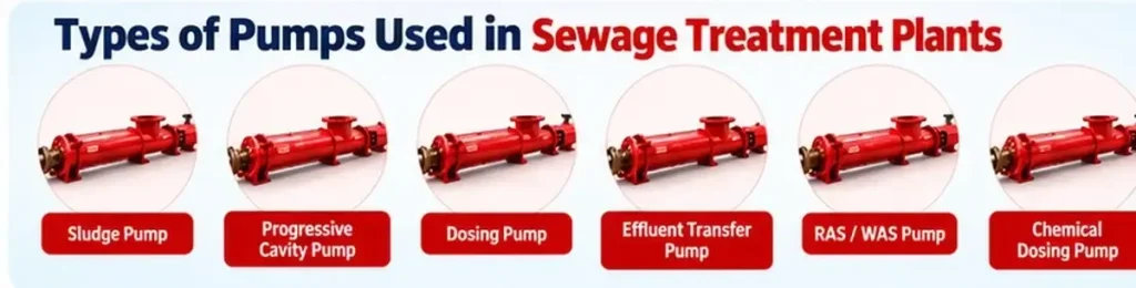 Types of pumps used in an STP pump system: sludge, PC, dosing, effluent, RAS/WAS and chemical dosing pumps
